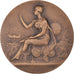 Francia, medaglia, Dessin, Art Plastique, Musique, Jules-Edouard Roiné, SPL