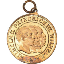 Deutschland, Medaille, 3 Kaisers, Hohenzollern, History, Undated (1918), VZ