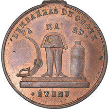França, medalha, Candidature à la Présidence, Satirique, 1848, AU(55-58)
