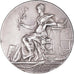 France, Médaille, Dessin, Art Plastique, Musique, Rivet, SUP, Bronze argenté