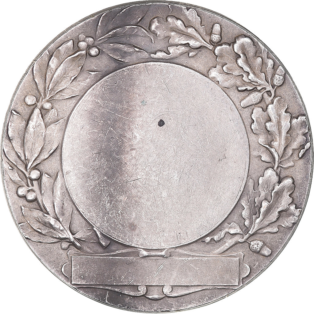 France, Médaille, Dessin, Art Plastique, Musique, Rivet, SUP, Bronze argenté