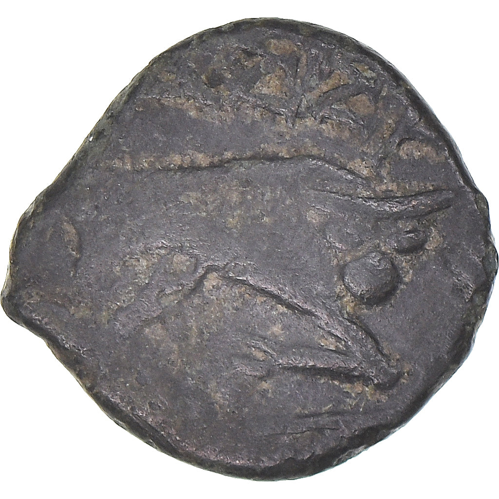 Moneta, Massalia, Bronze au taureau, c. 121-49 AC., Marseille, VF(30-35)