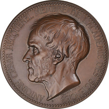 Francia, medaglia, Antoine Becquerel, Académie des Sciences, 1874, Alphée