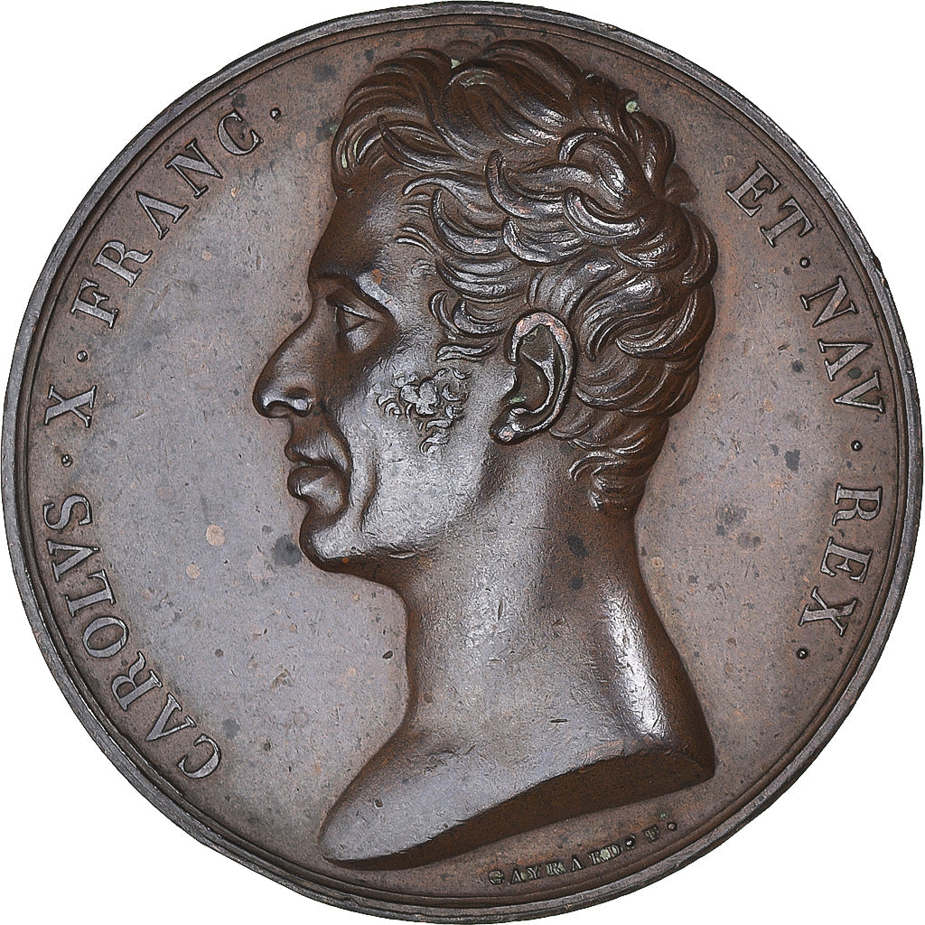 France, Medal, Charles X, Maintien de la Charte, Paris, History, 1824, Gayrard