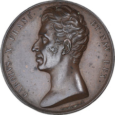 France, Medal, Charles X, Maintien de la Charte, Paris, History, 1824, Gayrard