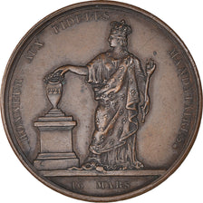 França, medalha, Charles X, Aux Electeurs Constitutionnels, História, 1830