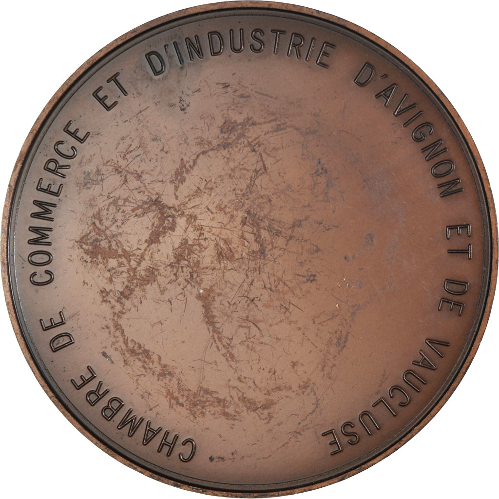 Francia, medaglia, Chambre de Commerce d'Avignon et de Vaucluse, 1977, SPL