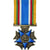 Francia, Combattants de moins de Vingt Ans, WAR, medalla, 1939-1945, Excellent