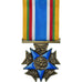 Francia, Combattants de moins de Vingt Ans, WAR, medalla, 1939-1945, Excellent