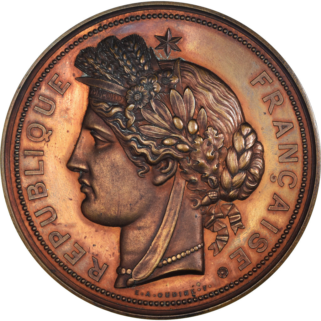 Francja, medal, Jules Grévy Elu Président de la République, Politics, 1885