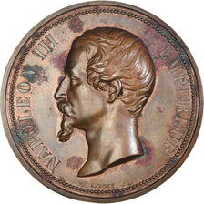 France, Medal, Napoléon III, Chemin de Fer de L'Ouest, History, 1855, Bovy
