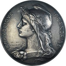 Frankrijk, Medaille, College Municipal Rollin, Fondation J. Weber, O.Roty, PR+