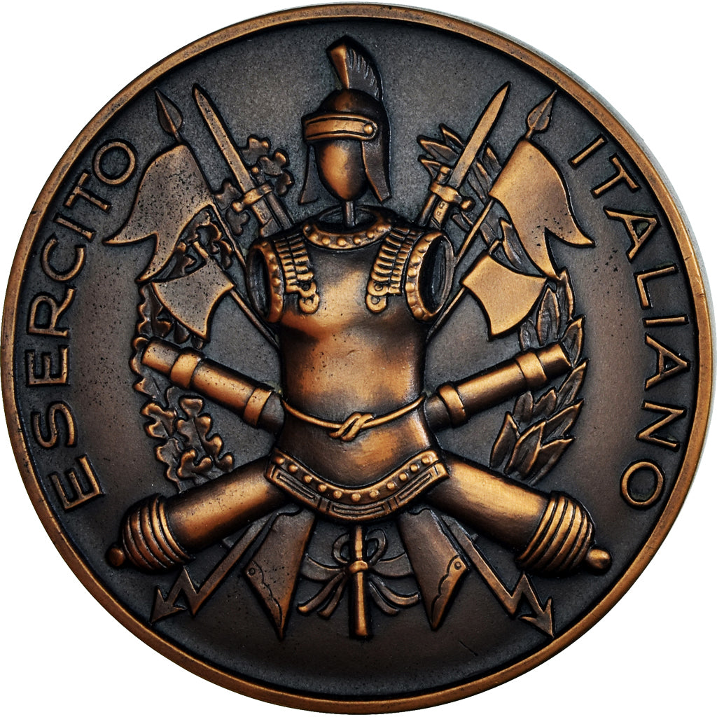 Italy, Medal, Esercito Italiano, Military, MS(64), Bronze