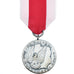 Polen, Mérite pour la Défense Nationale, Seconde Classe, Medaille, Excellent