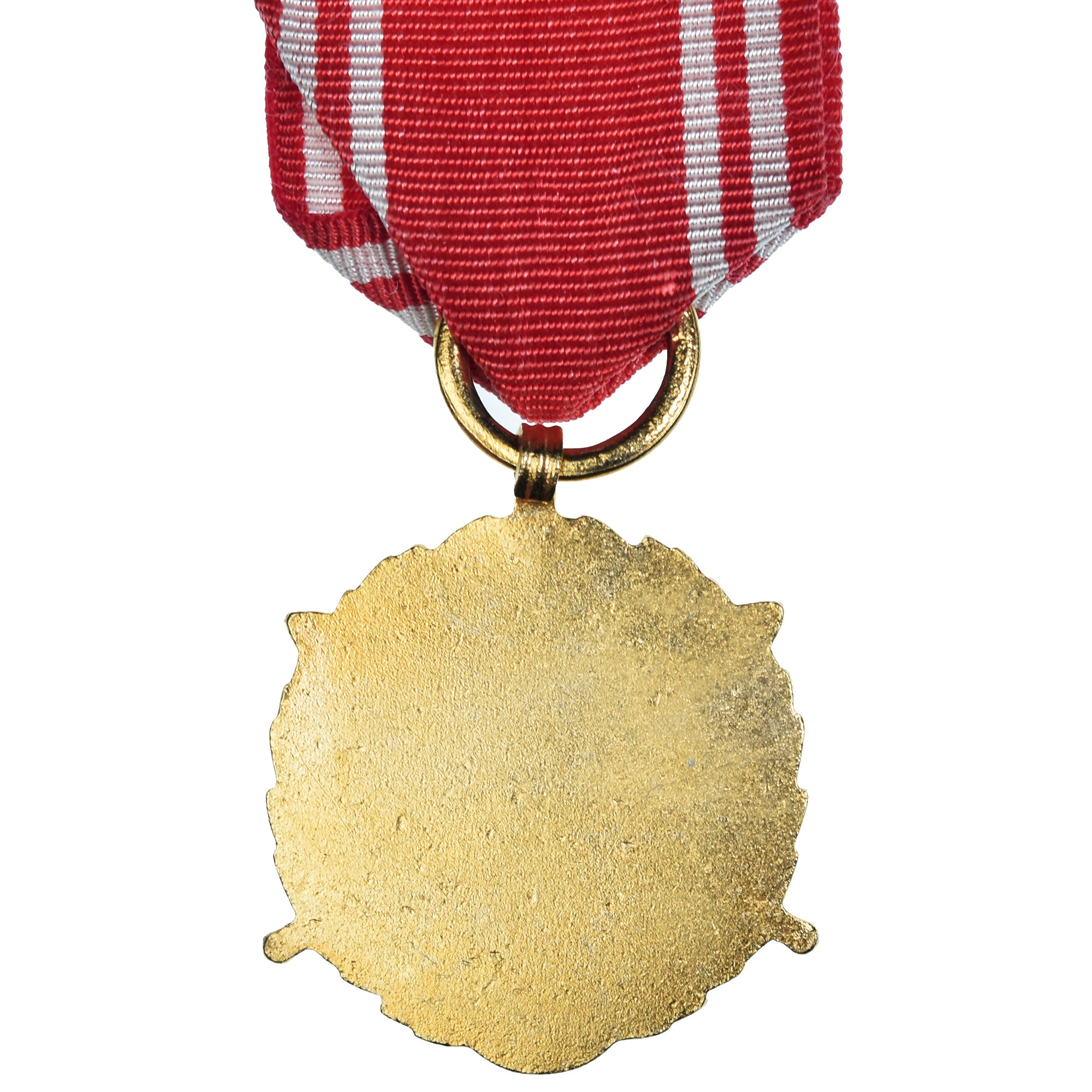 Polen, Forces Armées au Service de la Patrie, 20 Ans, Military, Medaille