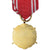Polen, Forces Armées au Service de la Patrie, 20 Ans, Military, Medaille