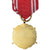 Pologne, Forces Armées au Service de la Patrie, 20 Ans, Military, Médaille