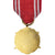 Poland, Forces Armées au Service de la Patrie, 20 Ans, Military, Medal