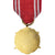 Polen, Forces Armées au Service de la Patrie, 20 Ans, Military, Medaille