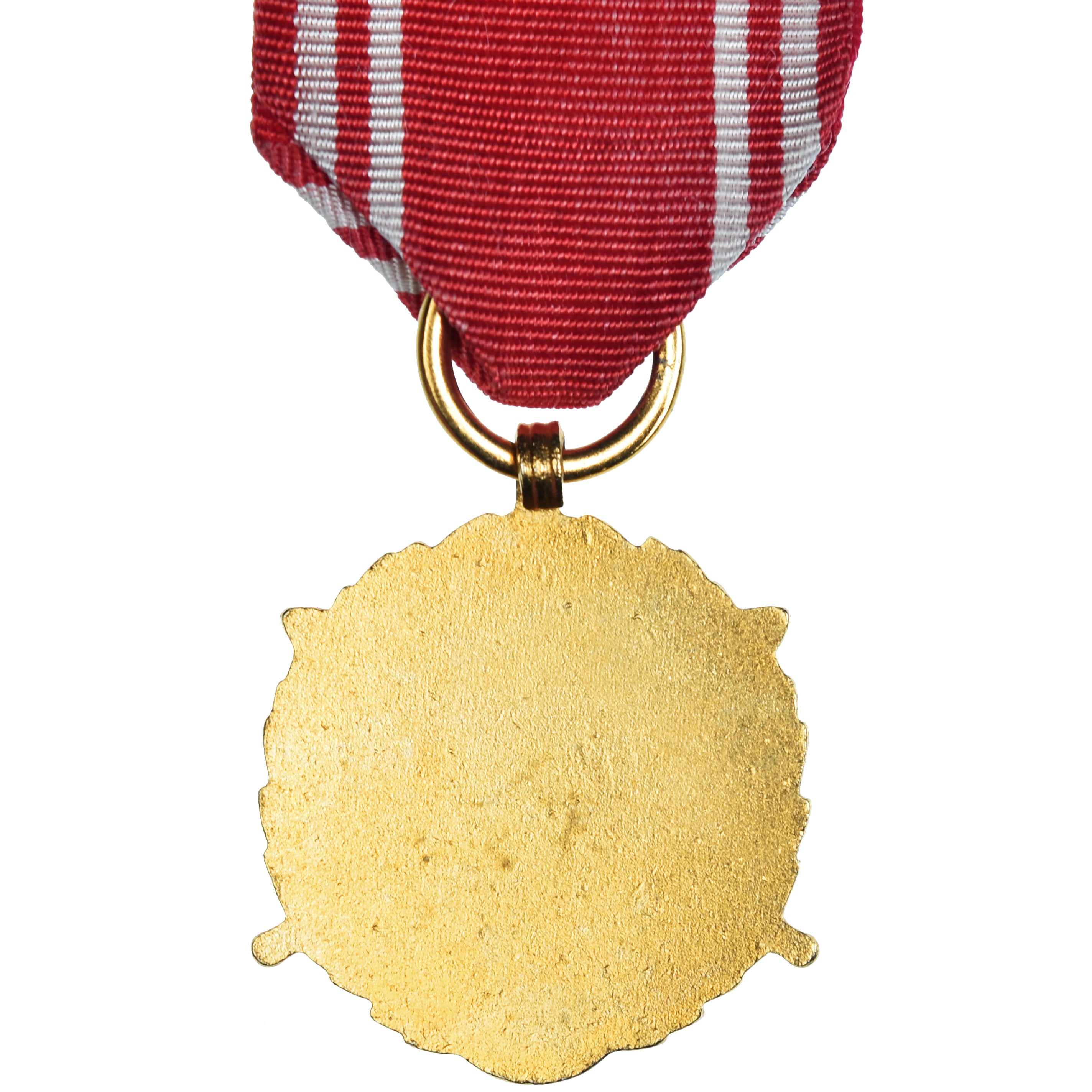 Polonia, Forces Armées au Service de la Patrie, 20 Ans, Military, medalla, Sin