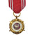 Polen, Forces Armées au Service de la Patrie, 20 Ans, Military, Medaille