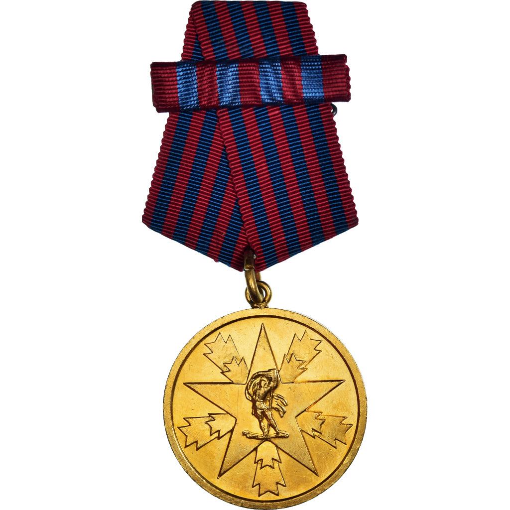 Iugoslavia, Mérite national, medaglia, undated (1945), Eccellente qualità