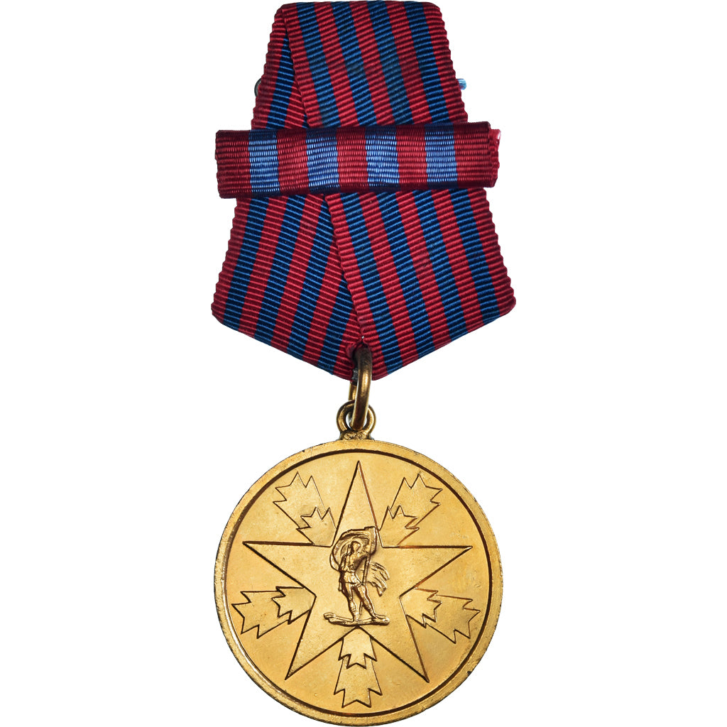Jugoslávia, Mérite national, medalha, undated (1945), Barrette Dixmude, Não