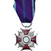Polonia, Croix du Mérite pour Bravoure, medaglia, Fuori circolazione, Bronzo
