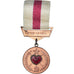 Éthiopie, Blessés en Service, WAR, Médaille, Excellent Quality, Cuivre, 33