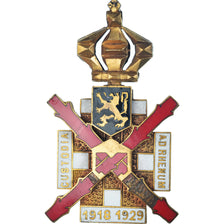 Belgium, Garde du Rhin, Medal, 1918-1929, Excellent Quality, Gilt Metal, 52 x 32
