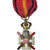 Bélgica, Garde du Rhin, medalla, 1918-1929, Muy buen estado, Gilt Metal, 52 x