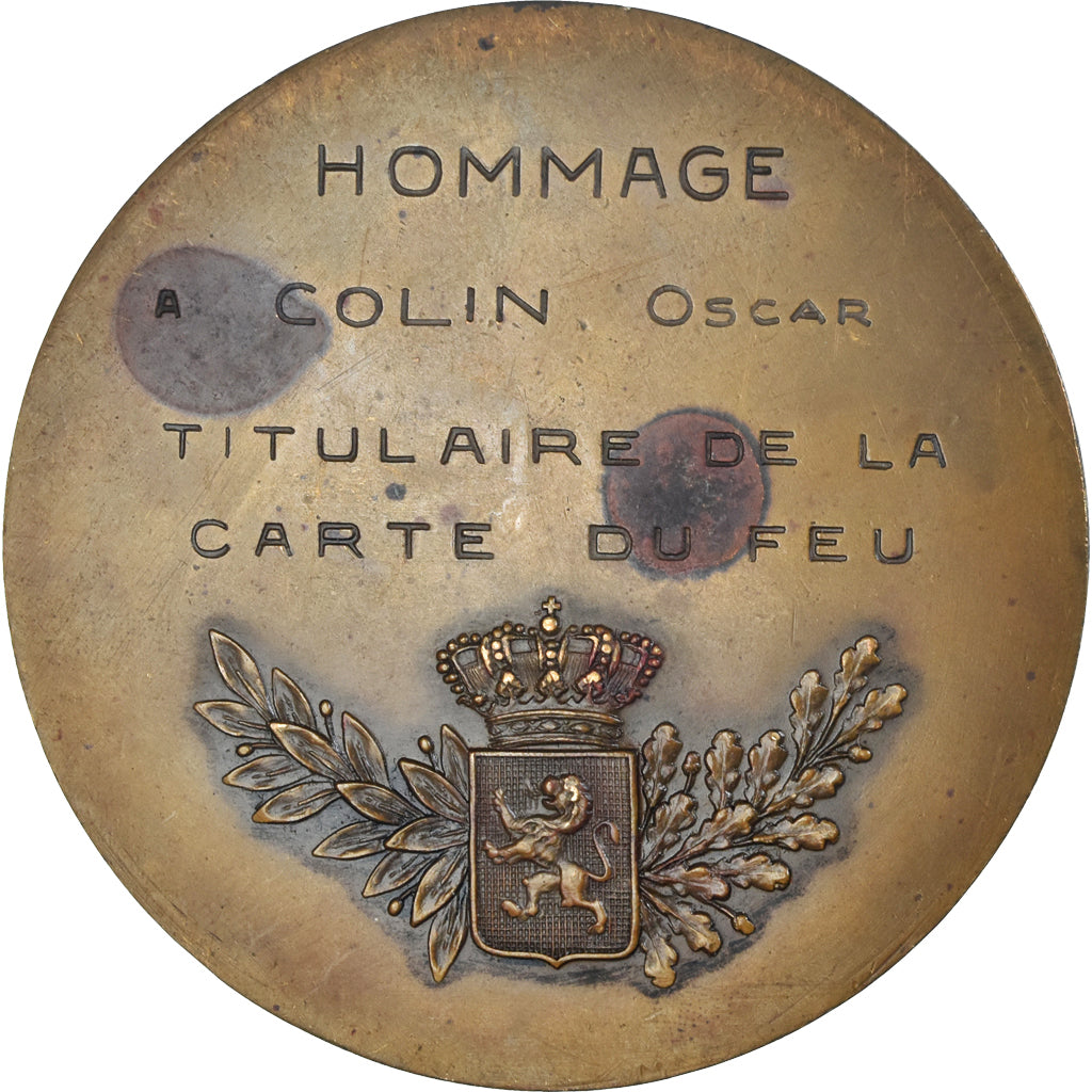 Belgique, Médaille, Yser, On ne Passe pas, WAR, 1914-1918, Canneel, TTB+