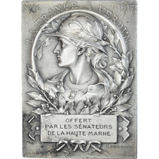 Francia, medalla, La France à Verdun, Sénateurs de la Haute Marne, 1916-1917