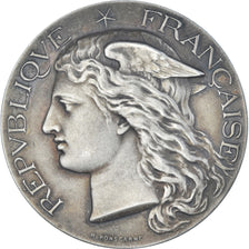 France, Medal, Administration des Eaux et Forêts, Exposition Universelle, 1900