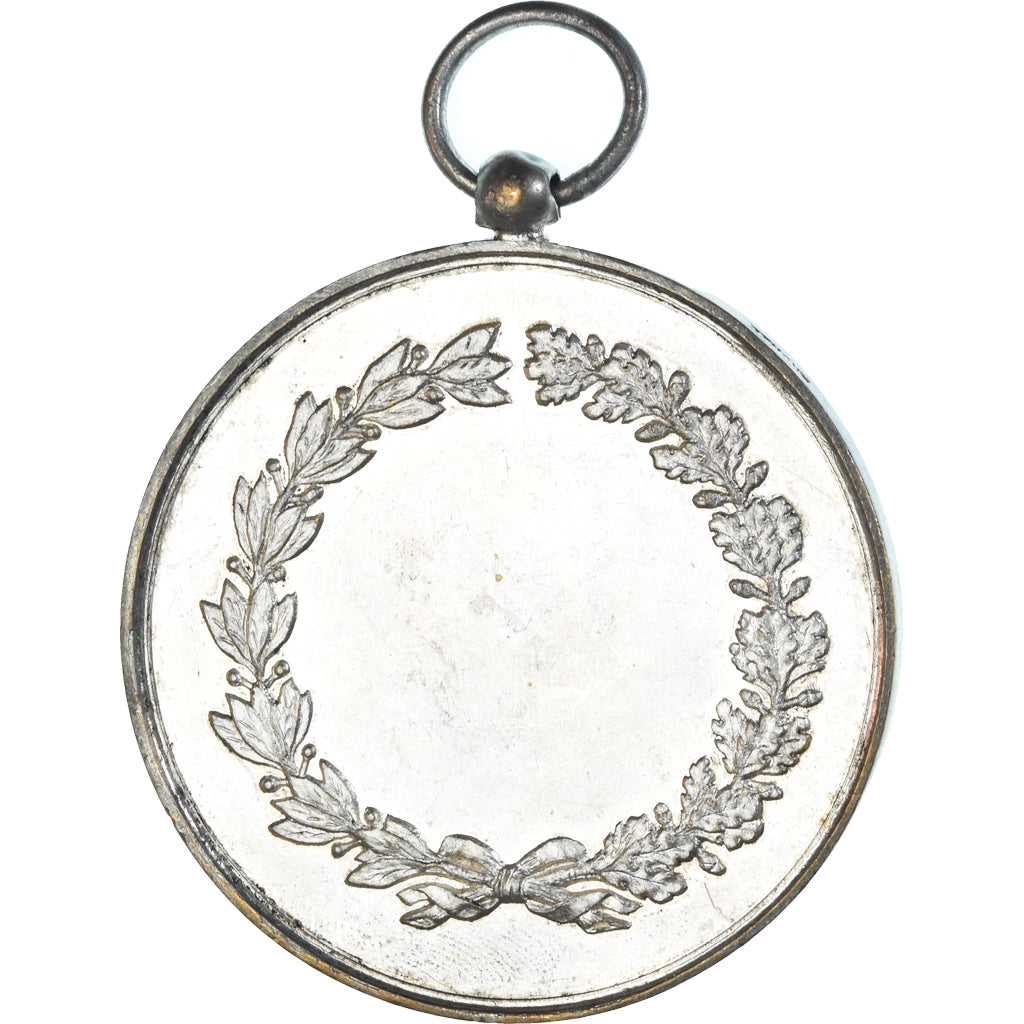 France, Médaille, Pigeons Voyageurs, Correspondant, Politics, Society, War