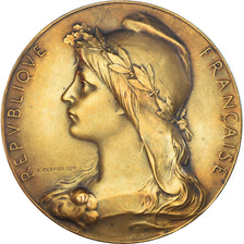 Frankrijk, Medaille, Maitres de Lavoirs de la Ville de Paris et de la Seine