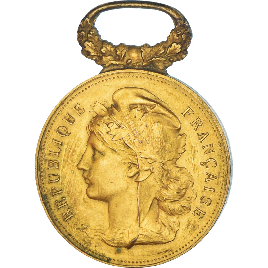 France, Medal, Comice Agricole du Canton de Pierre-Buffière, 1896, AU(50-53)