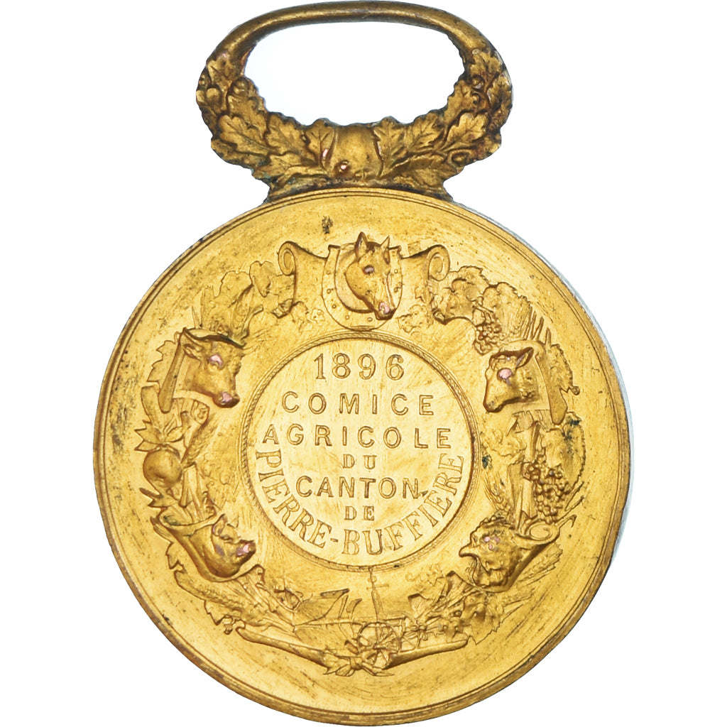 France, Medal, Comice Agricole du Canton de Pierre-Buffière, 1896, AU(50-53)