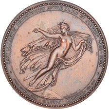 France, Medal, Cent Planètes Découvertes par Hind, Goldschmidt et Luther