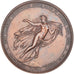 France, Medal, Cent Planètes Découvertes par Hind, Goldschmidt et Luther