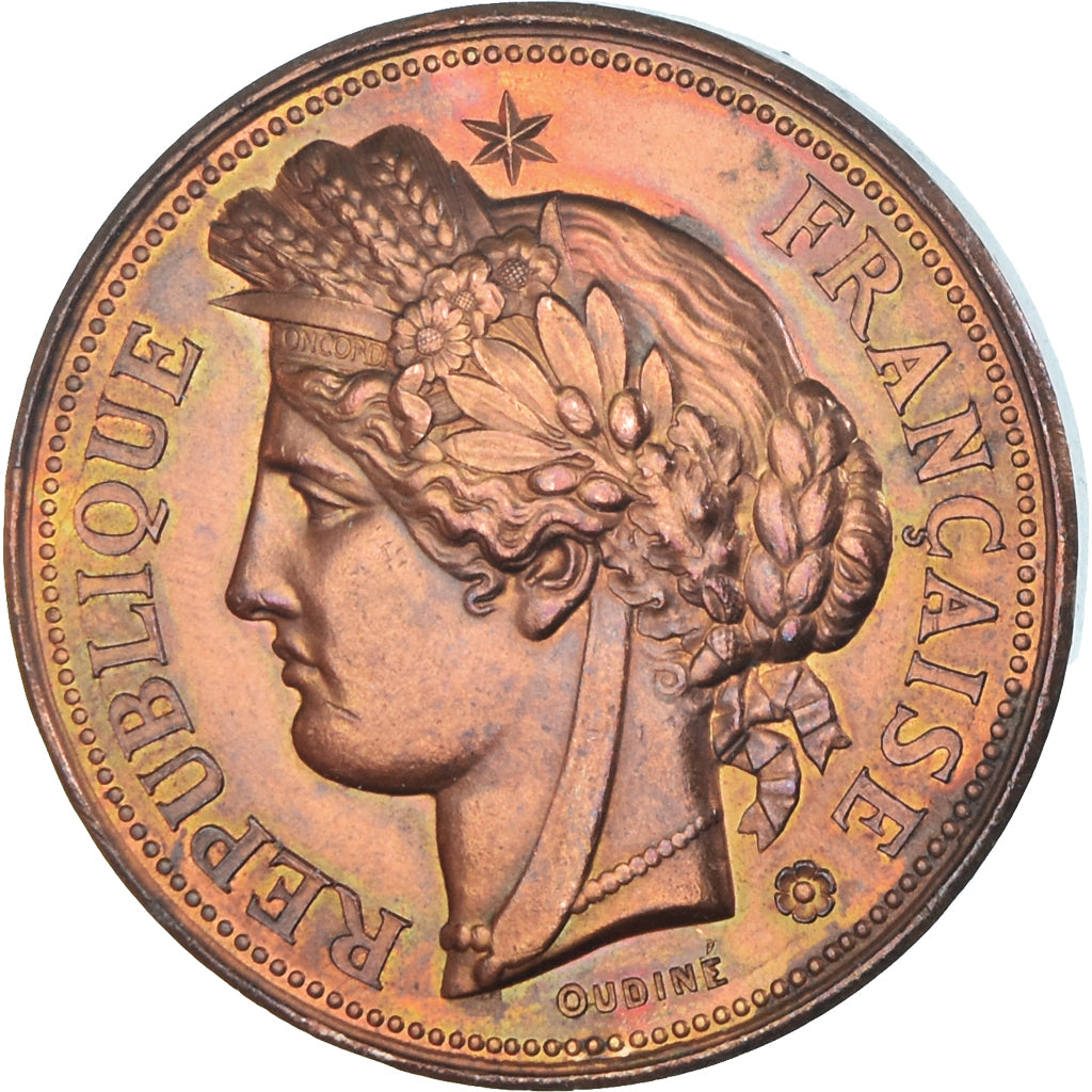 France, Medal, Foire des Rameaux, Concours d'Animaux, Bergues, Oudiné
