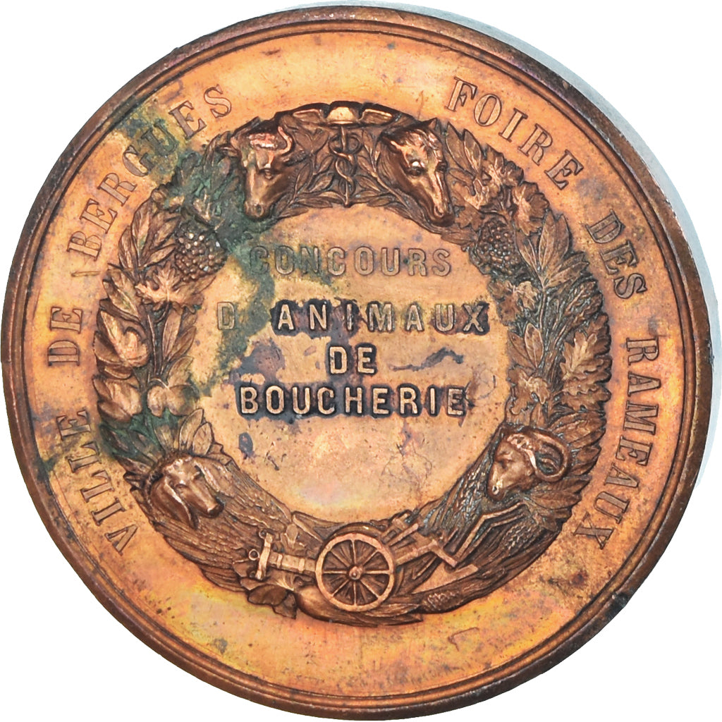 France, Medal, Foire des Rameaux, Concours d'Animaux, Bergues, Oudiné