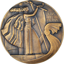 Frankreich, Medaille, Conseil Municipal de Paris, Politics, Dammann, UNZ, Bronze