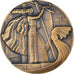 Frankreich, Medaille, Conseil Municipal de Paris, Politics, Dammann, UNZ, Bronze