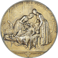 Francia, medalla, Croix Rouge, Union des femmes de France, WAR, 1901, Henri