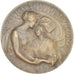 França, medalha, Le Rhin Français, WAR, 1914-1918, Lamourdedieu, AU(50-53)