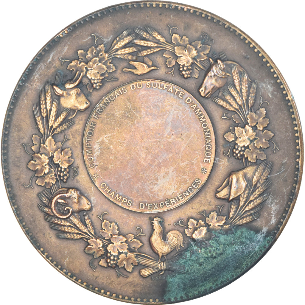 France, Medal, Comptoir Français du Sulfate d'Amoniac, Agriculture, Lagrange