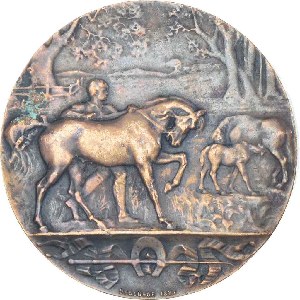 France, Medal, Chevaux, Haras Marocains, Animalière, 1887, Degeorge, EF(40-45)