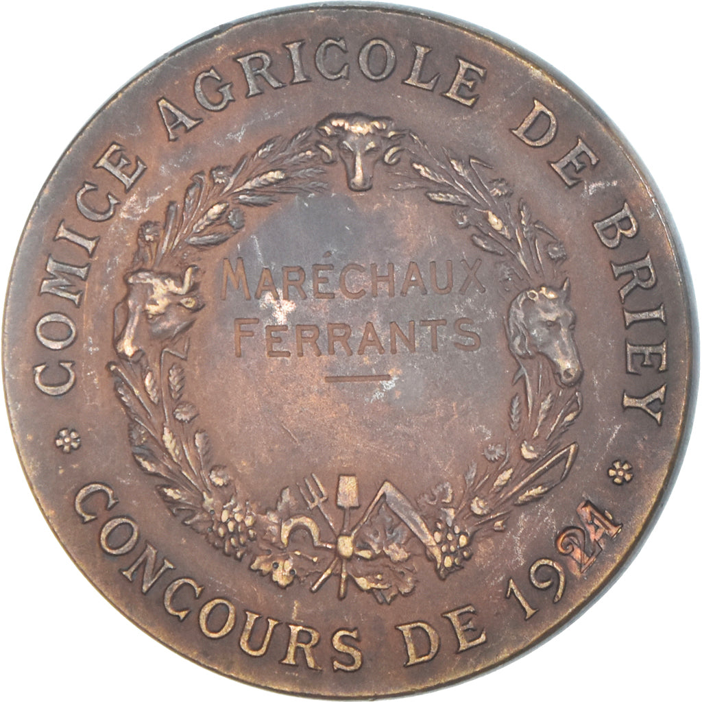 France, Medal, Comice Agricole de Briey, Maréchaux Ferrants, 1921 sur 1914