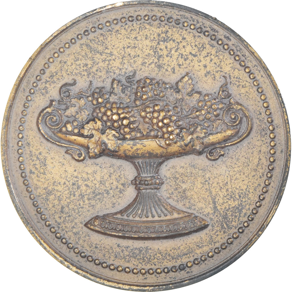 France, Medal, Vignes, Raisin, Agriculture, EF(40-45), Bronze